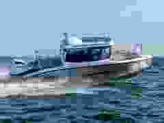 Silver Seahawk Cabin